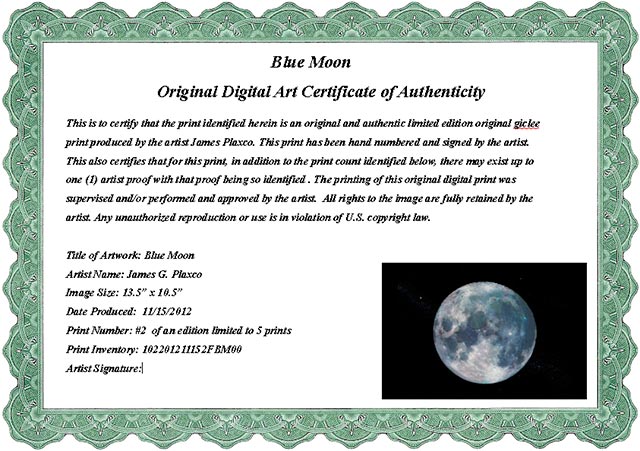 Certificate Of Authenticity Template For Art from www.artsnova.com