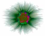 Artificial Genome Flower Beta digital art
