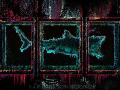 The 42 Million Pixel Shark