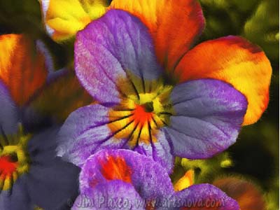 Summer Flowers Painting