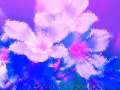 Wild Flowers Of The Tropics