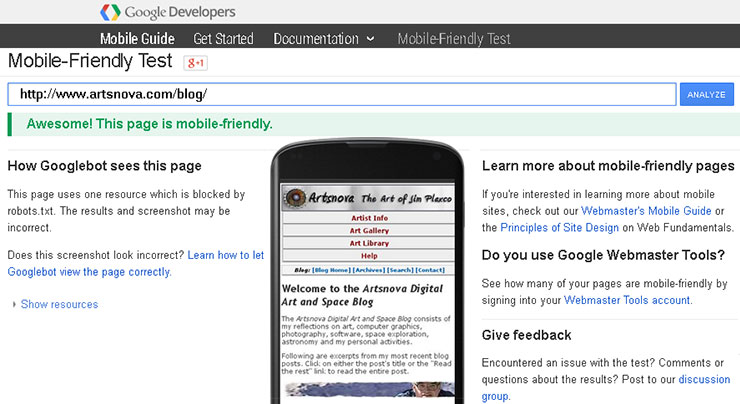 Google Developers Mobile Friendly Test Page