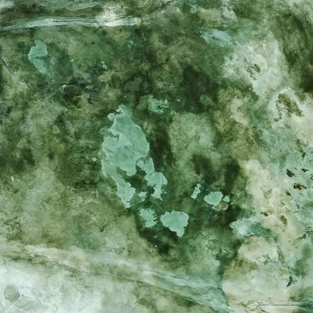 Africa Namibia Etosha Salt Pan Satellite Image