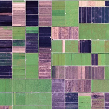 Farmland Crop Fields Aerial Photograph
