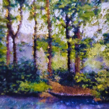 Summer Forest Shadows with Stream