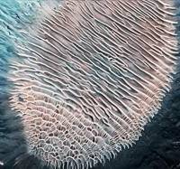 Aeolian Crater Deposits Vallis Marineris Mars