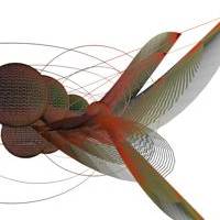 Algorithmic Worlds