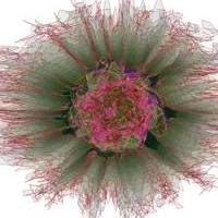 Artificial Genome Flower Gamma