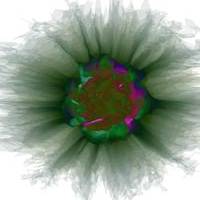 Artificial Genome Flower Beta