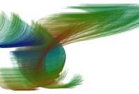The Butterfly Effect