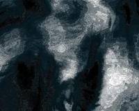Delirium by Moonlight