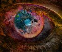 Eye Witness