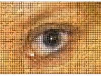 Field of View digital art