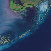 Florida Everglades, Keys, Key Largo, and Gulf of Mexico