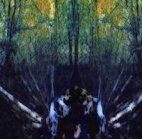 Forest of the Unknown