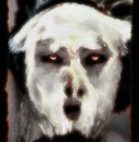How Do I Look Triptych 1