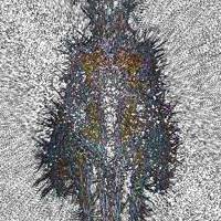 Madame Machine's Materialization