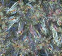 Rain Forest Fantasy