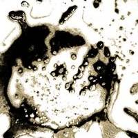 Coffee Remains