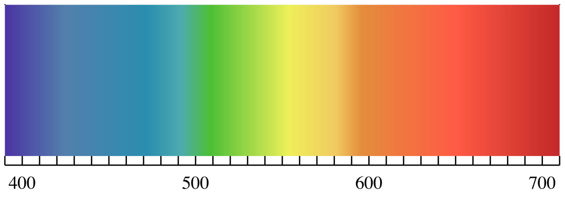 Visible Light Spectrum with wavelength in nanometers